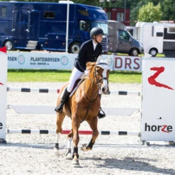 B Vertigo Tamina Show Coat 6 B Vertigo Tamina Show Coat -Best Equestrian Store 33076 vdb bs 5 23351 88448.1560467558