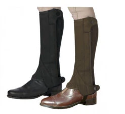 Ovation Kids Elite Amara Half Chaps -Best Equestrian Store 464332amaraboth 62191 77470.1527307373