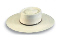 Atwood Nevada Palm Leaf Cowboy Hat