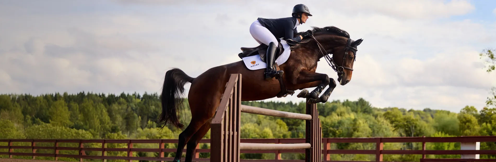 Best Equestrian Store -Best Equestrian Store yiyui